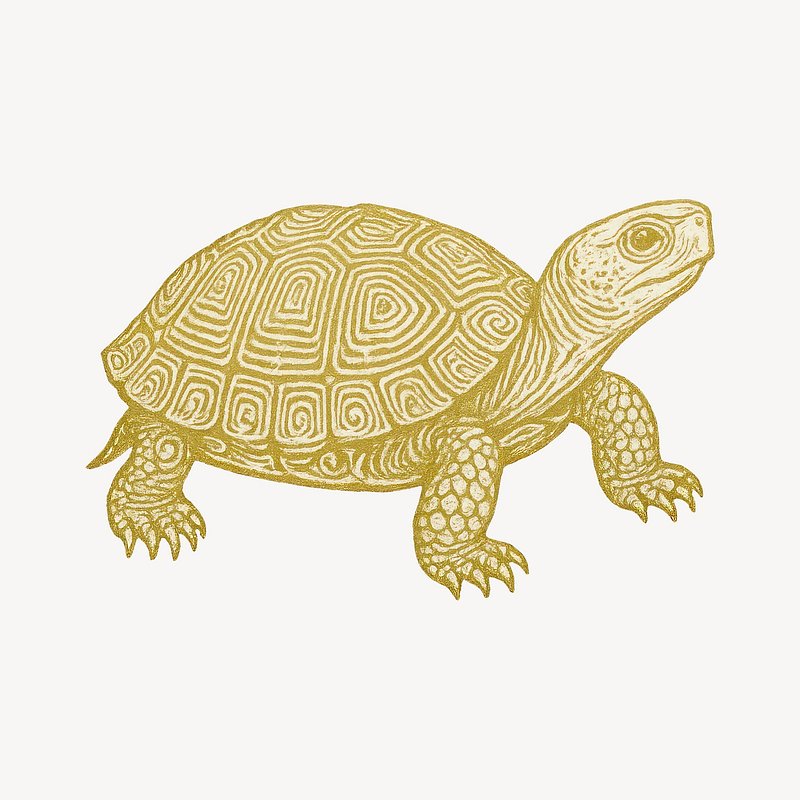 DRAWING GAMES - Play Online for Free! - Poki