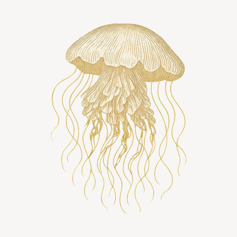 Sea+lion+drawing Texture Images | Free Photos, PNG Stickers, Wallpapers ...