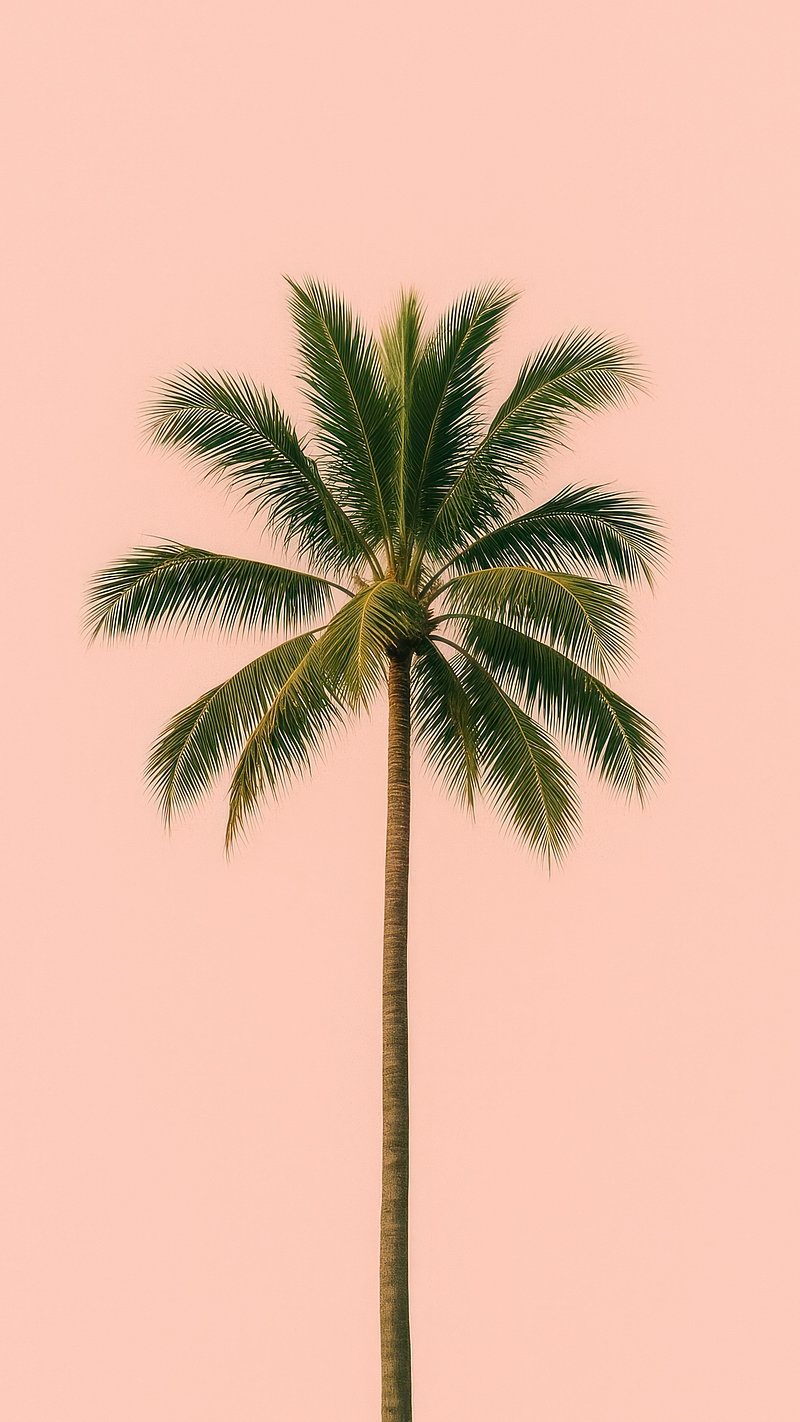 Wallpaper Background Pink Palm Trees Images | Free Photos, PNG Stickers,  Wallpapers \u0026 Backgrounds - rawpixel, image size:800x1422