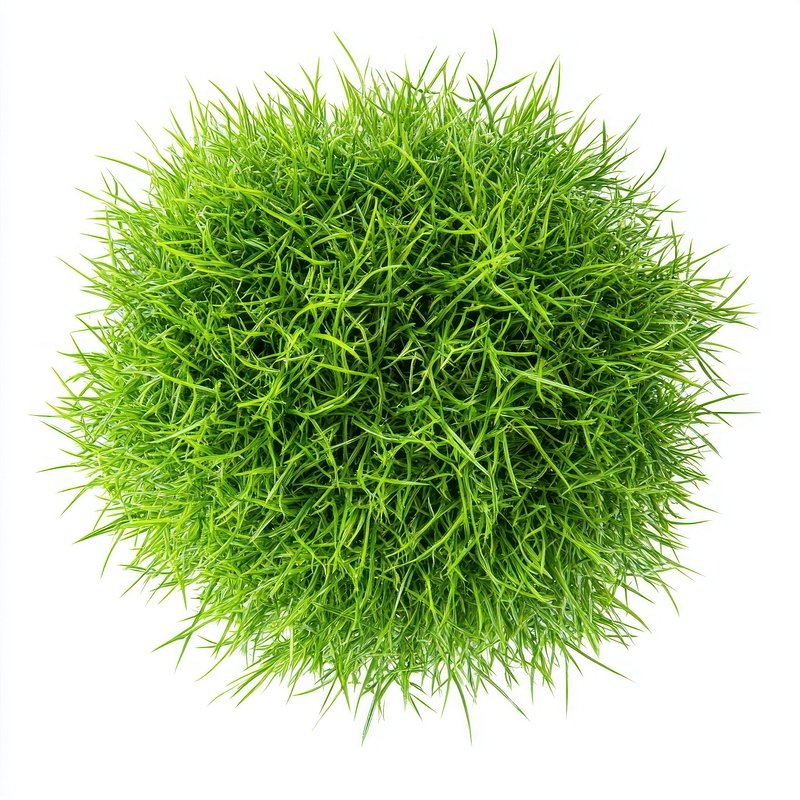 Top+the+bushes Design Images | Free Photos, PNG Stickers, Wallpapers ...