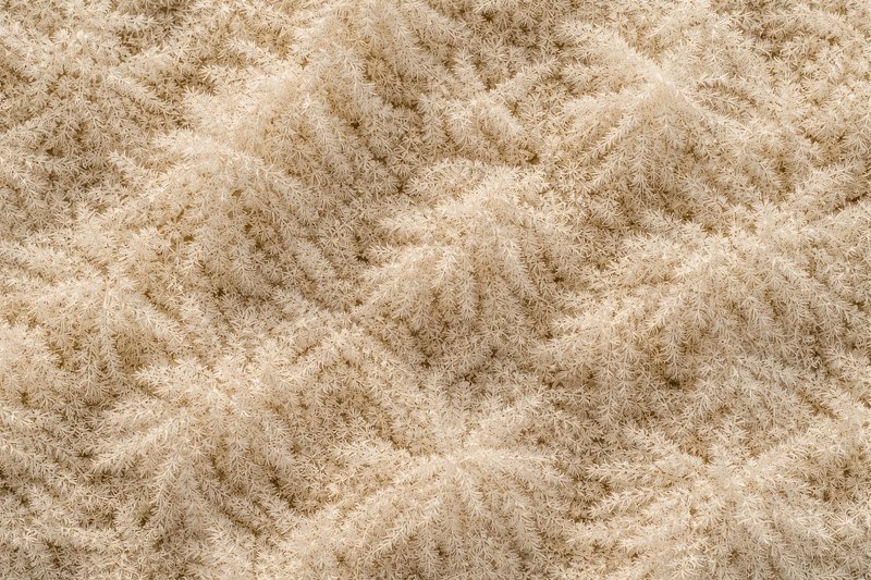 Bucks Background Images | Free Photos, PNG Stickers, Wallpapers ...