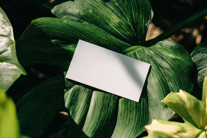 Details Mockup Realistic Design Background Images | Free Photos, PNG ...