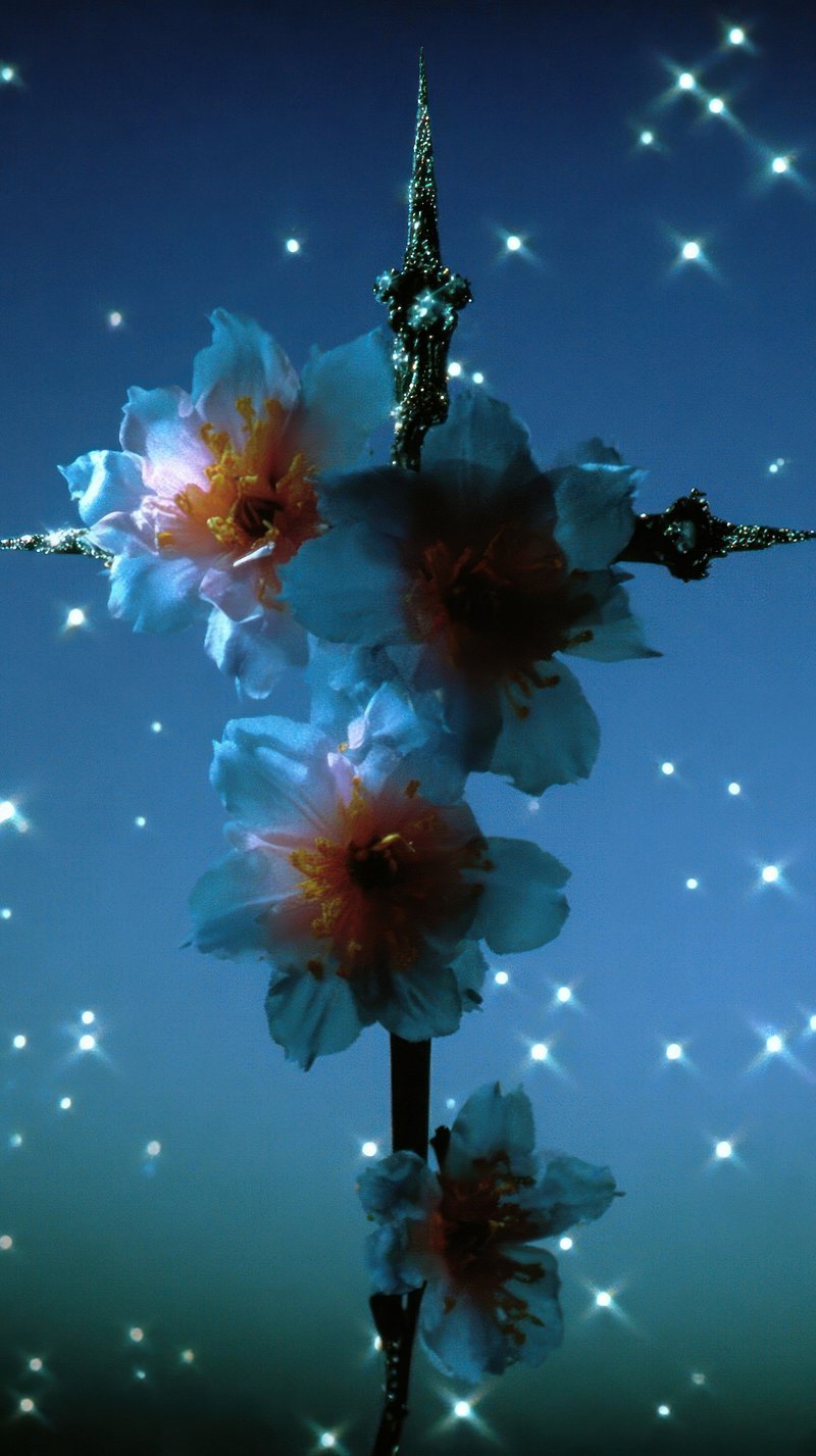 Beautiful Night Sky Wallpaper Mobile Images | Free Photos, PNG Stickers ...