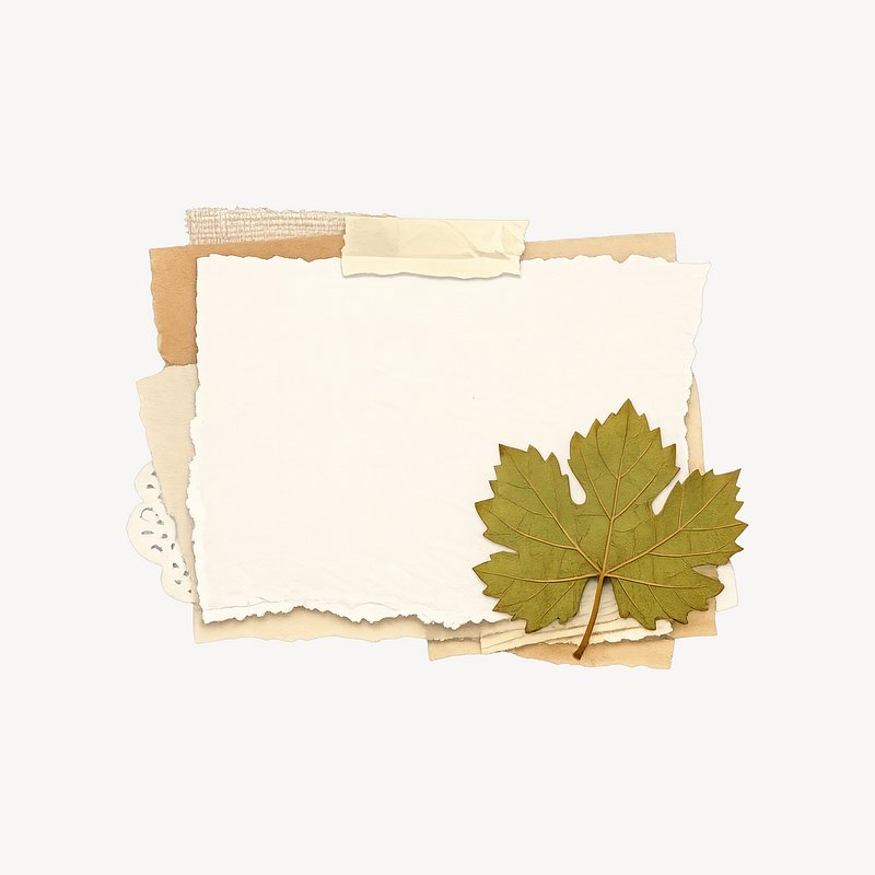 Autumn Themed Leaves Images | Free Photos, PNG Stickers, Wallpapers ...