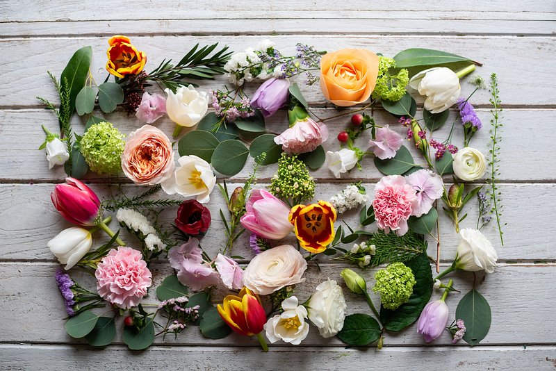 Displaye Real Photo Images | Free Photos, PNG Stickers, Wallpapers ...