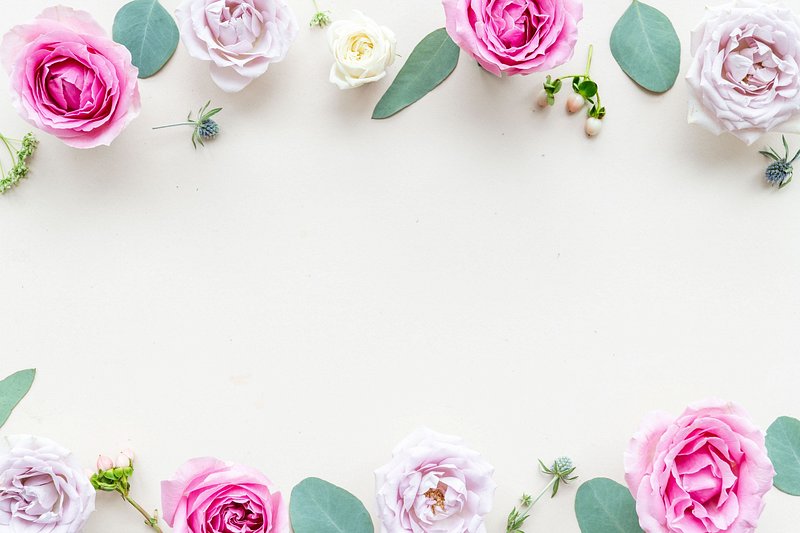 Rose+flower+ Design Images | Free Photos, PNG Stickers, Wallpapers ...