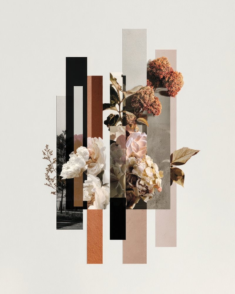 Gallery+and+photos Design Woman Images | Free Photos, PNG Stickers ...