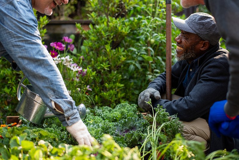 Teamwork Sustain Image Images | Free Photos, PNG Stickers, Wallpapers ...