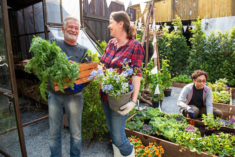 Teamwork Sustain Woman Images | Free Photos, PNG Stickers, Wallpapers ...