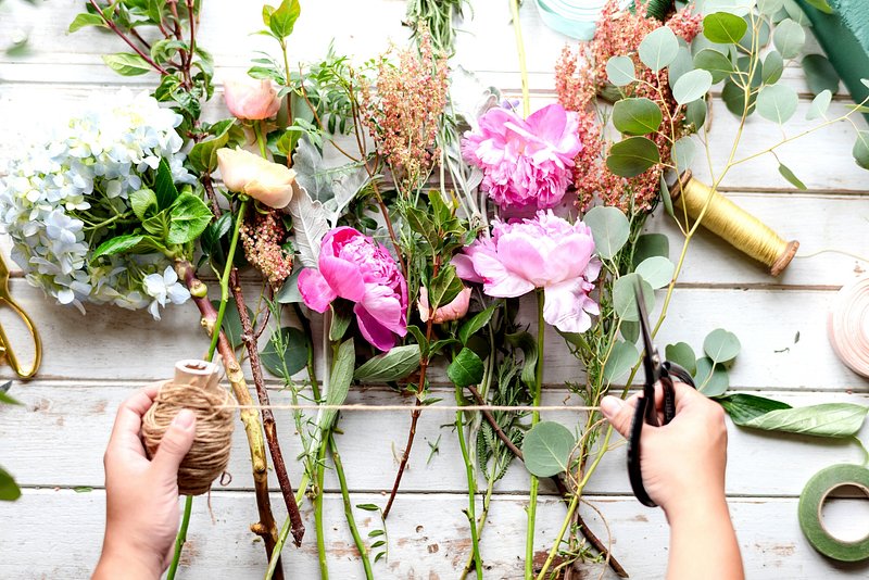 Scissor+women Person Images | Free Photos, PNG Stickers, Wallpapers ...