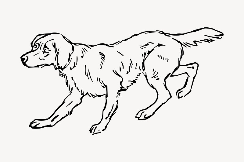 cowering dog drawing