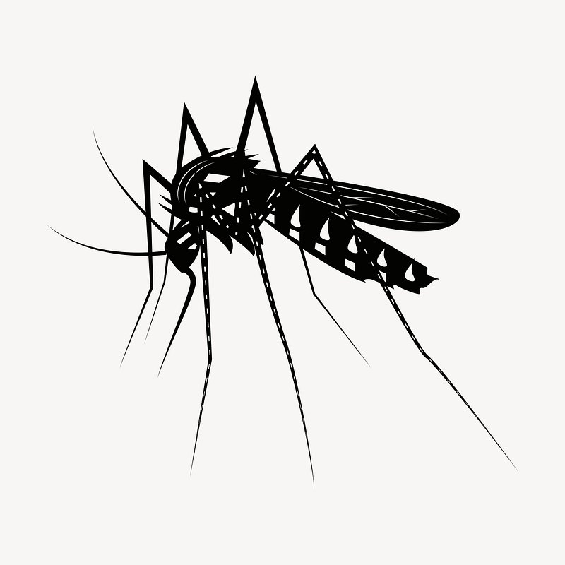 Mosquito symbol Cut Out Stock Images & Pictures - Page 3 - Alamy