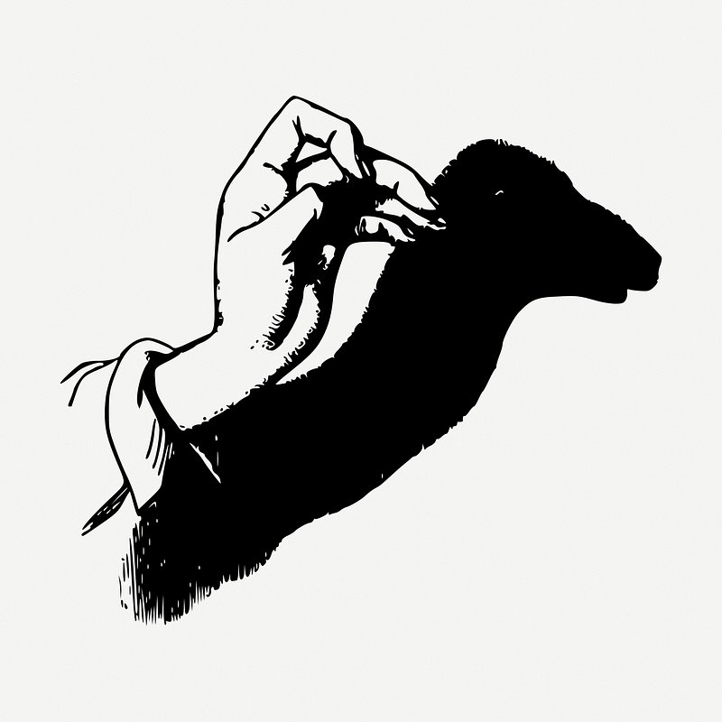 Hand Shadow Animal Images | Free Photos, PNG Stickers, Wallpapers &  Backgrounds - rawpixel