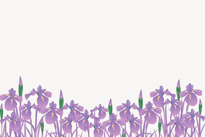 purple flower border