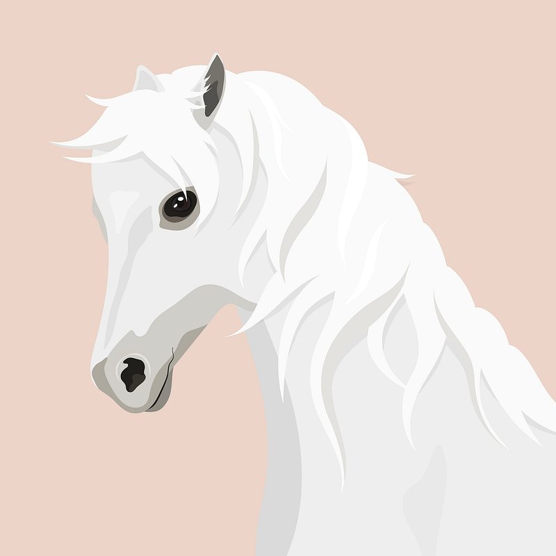 white horses face