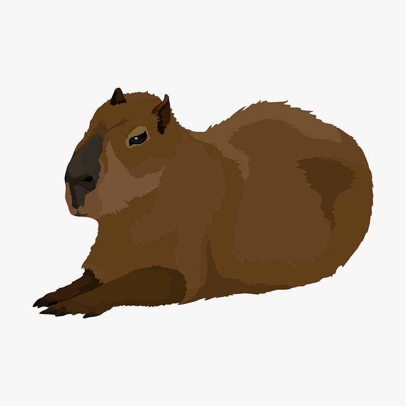 Capybara png images