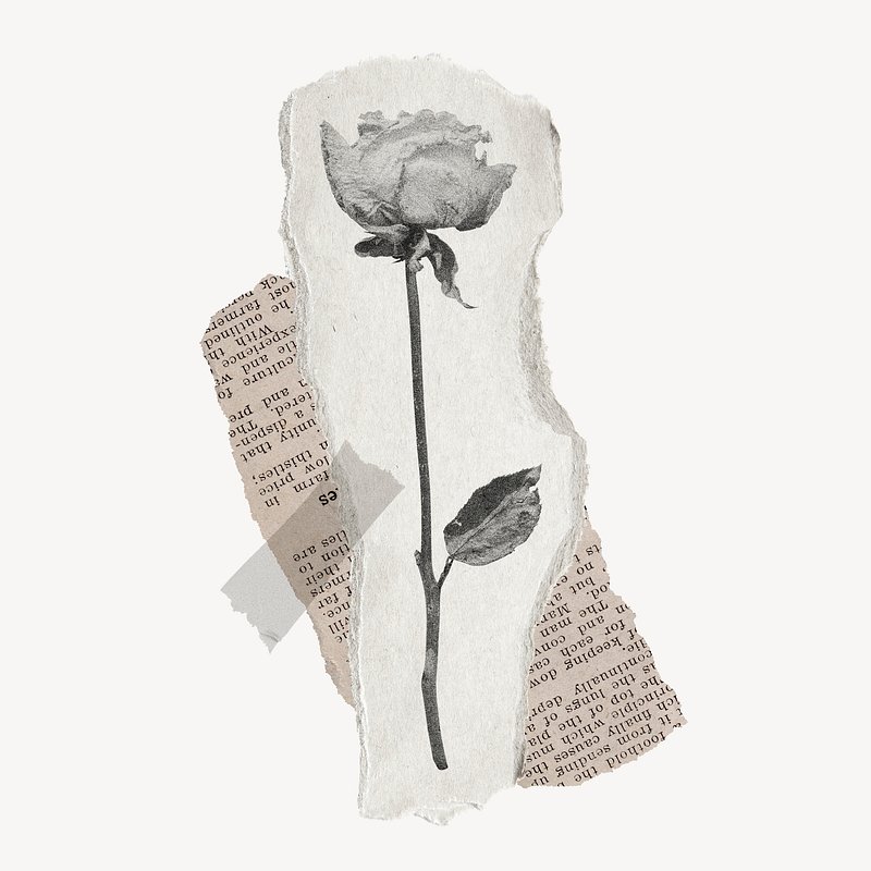 Rose, vintage torn paper design | Premium Photo - rawpixel