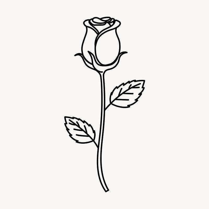 166,789 Line Drawings Roses Images, Stock Photos, 3D objects, & Vectors |  Shutterstock