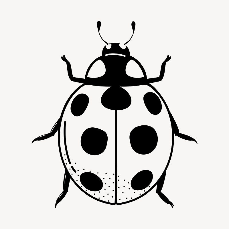 Lady Bug PNG, Vector, PSD, and Clipart With Transparent Background for Free  Download