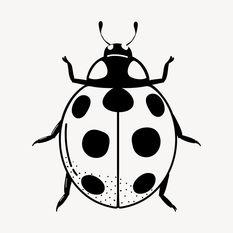 Lady Bug Images  Free Photos, PNG Stickers, Wallpapers & Backgrounds -  rawpixel