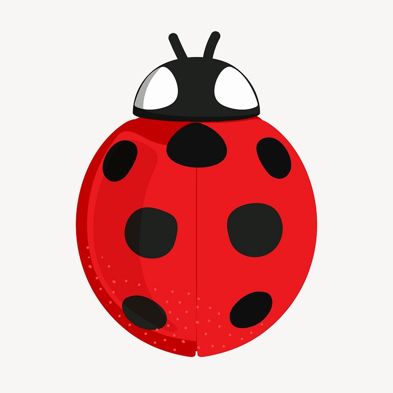 Premium PSD  Lady bug png