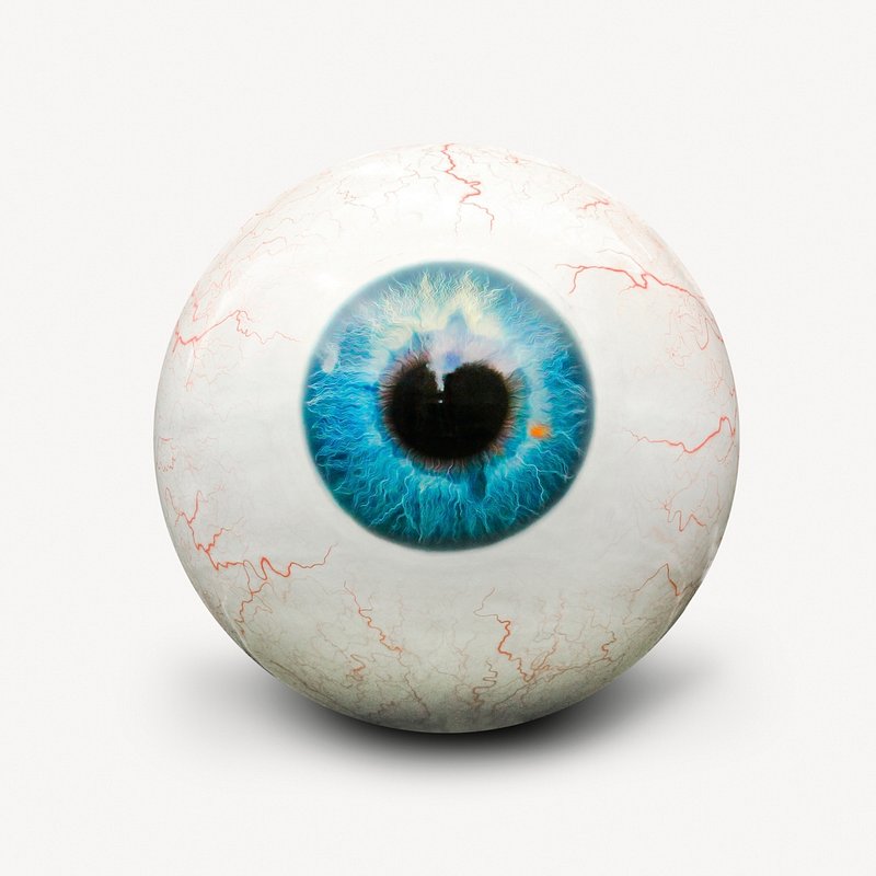 Premium PSD  Realistic human eyes with brown iris eyeballs 3d render