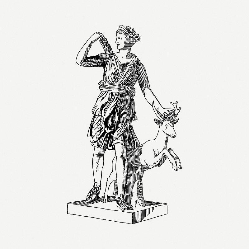 Artemis Vector Marble Head Work Art Ancient Greece Era Illustration Stock  Vector by ©lucyinthepaint 321346750