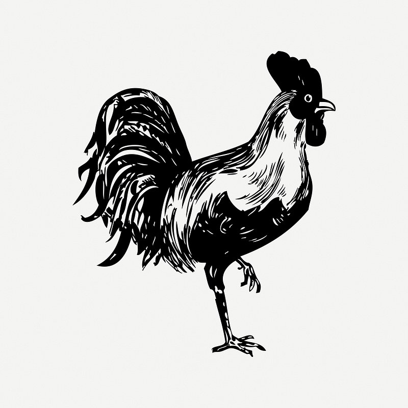 Rooster Silhouette Images | Free Photos, PNG Stickers, Wallpapers ...