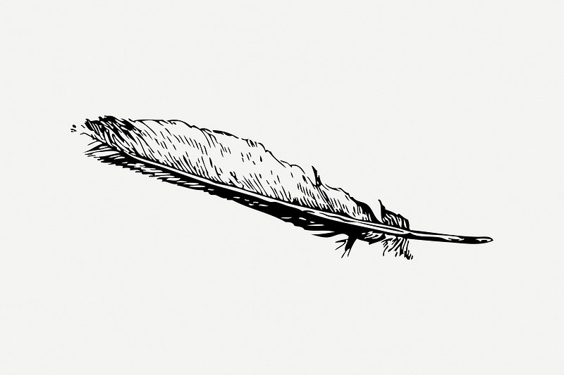 feather ink png