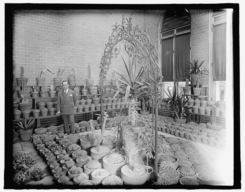 cHJpdmF0ZS9sci9pbWFnZXMvd2Vic2l0ZS8yMDIy