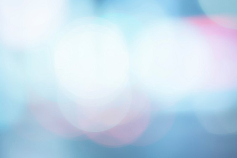 White flowers on light blue background with green leaves and bokeh