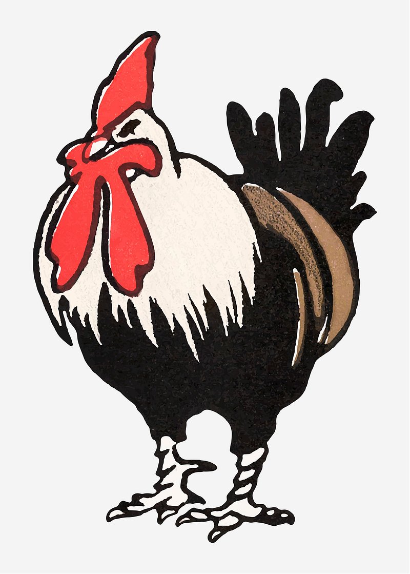 Old Hen Drawings Images | Free Photos, PNG Stickers, Wallpapers ...