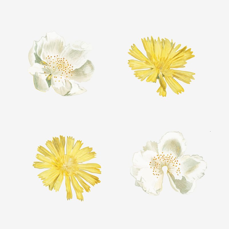 Tiny Flowers Images – Browse 2,422 Stock Photos, Vectors, and Video