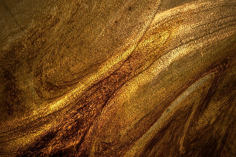 Gold Texture - Construction Paper Transparent PNG - 1000x1000 - Free  Download on NicePNG