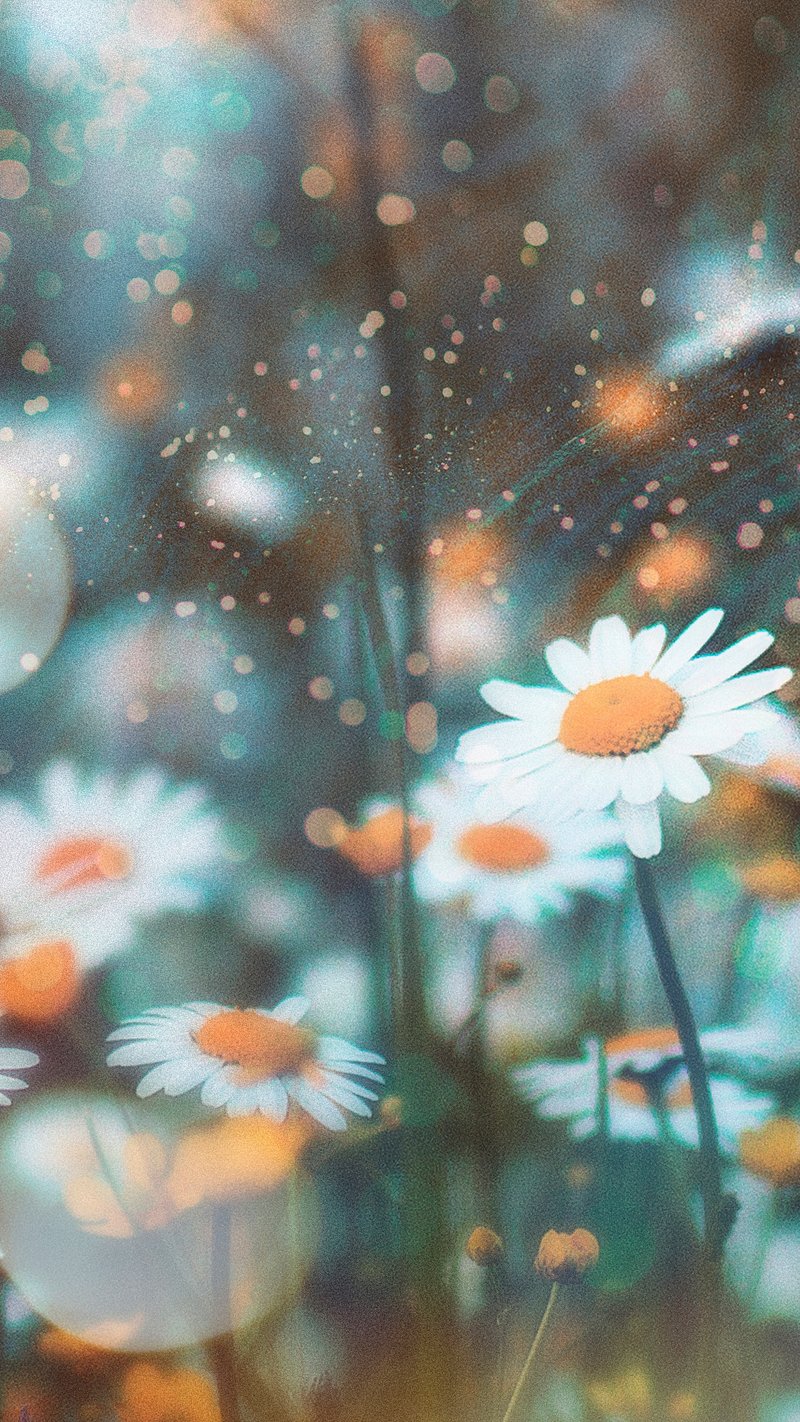 flower wallpapers for mobile phones