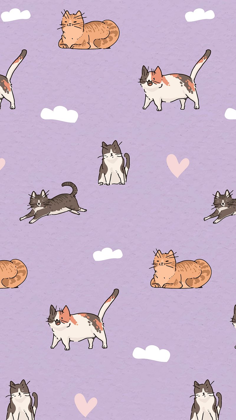 Cat Wallpaper Images  Free Photos, PNG Stickers, Wallpapers & Backgrounds  - rawpixel