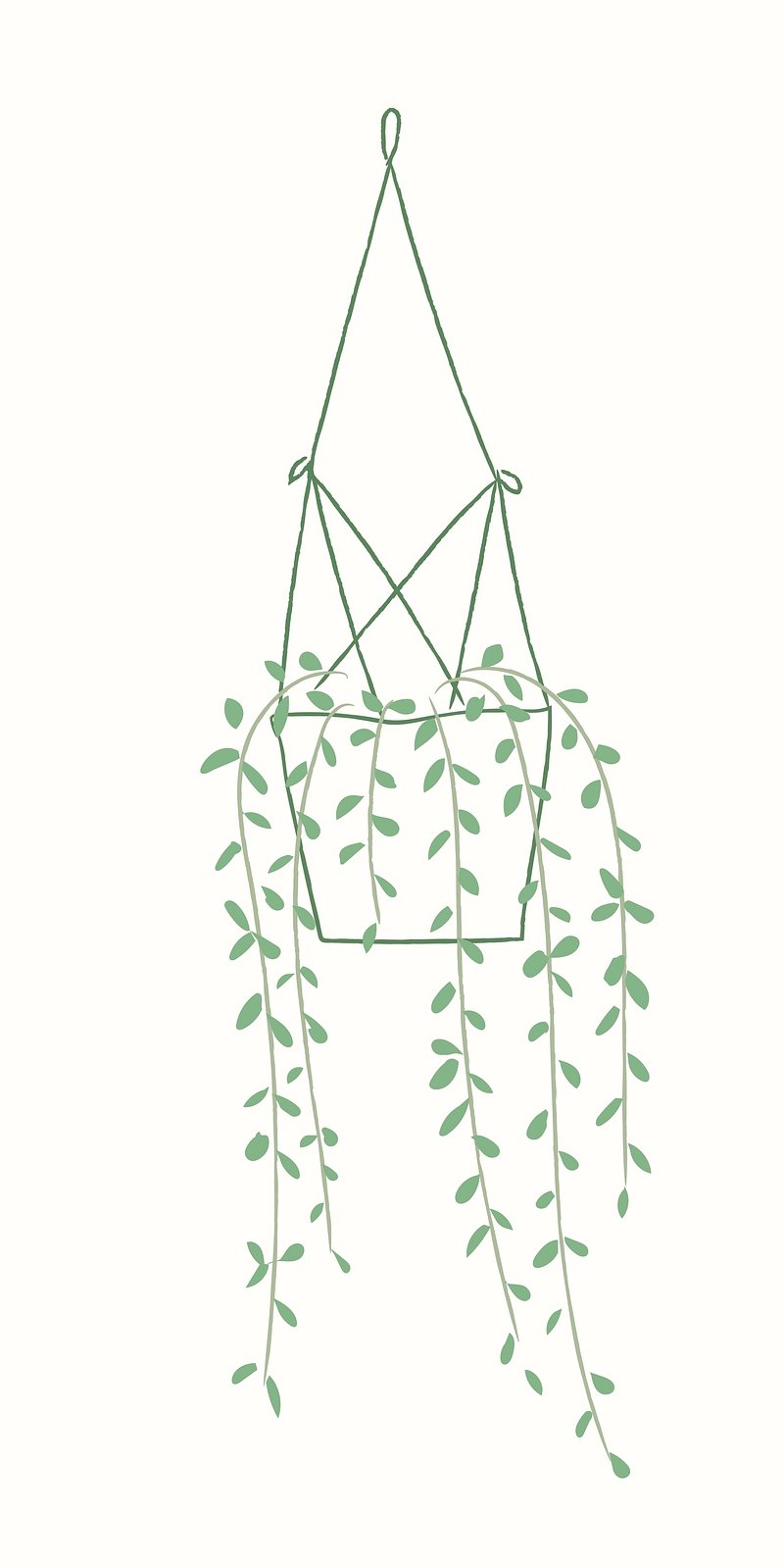 Hanging plant vector houseplant doodle | Premium Vector Illustration ...