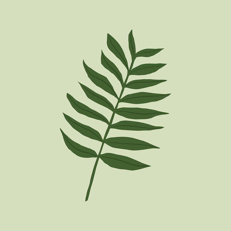 Fern leaf vector plant botanical | Premium Vector - rawpixel