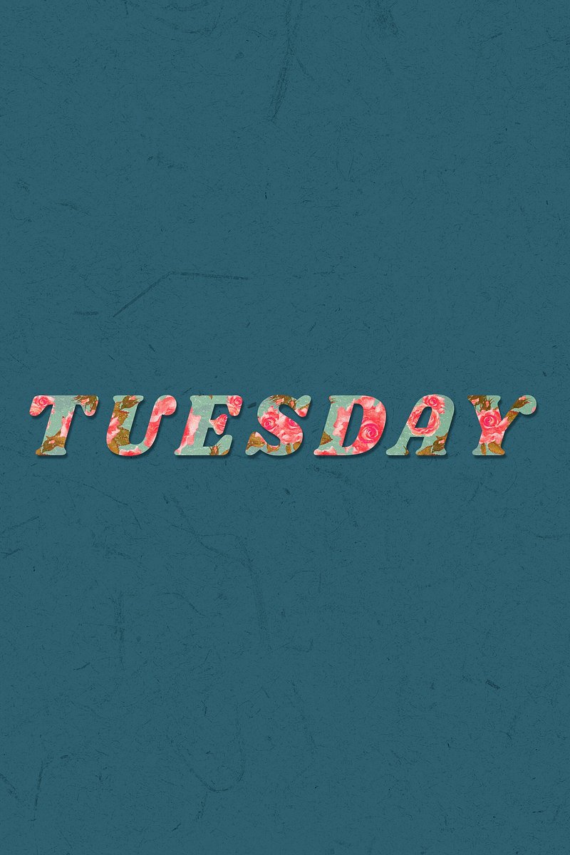 Tuesday Terca Sticker for iOS & Android