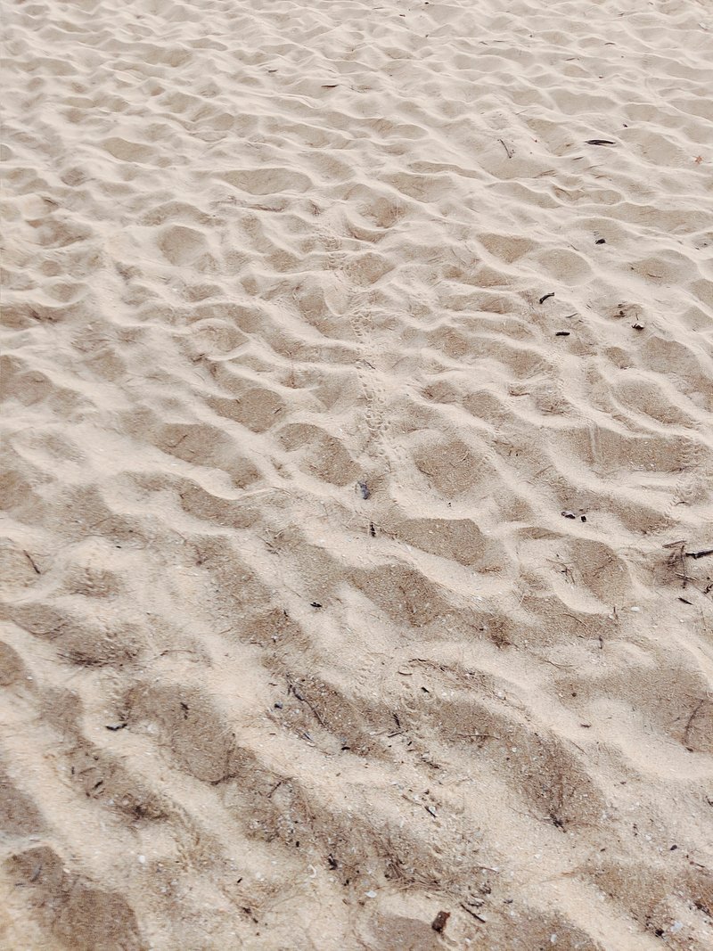 Fine beach sand in the summer, free image by rawpixel.com / Jennifer  Claesson #beachimagesfree