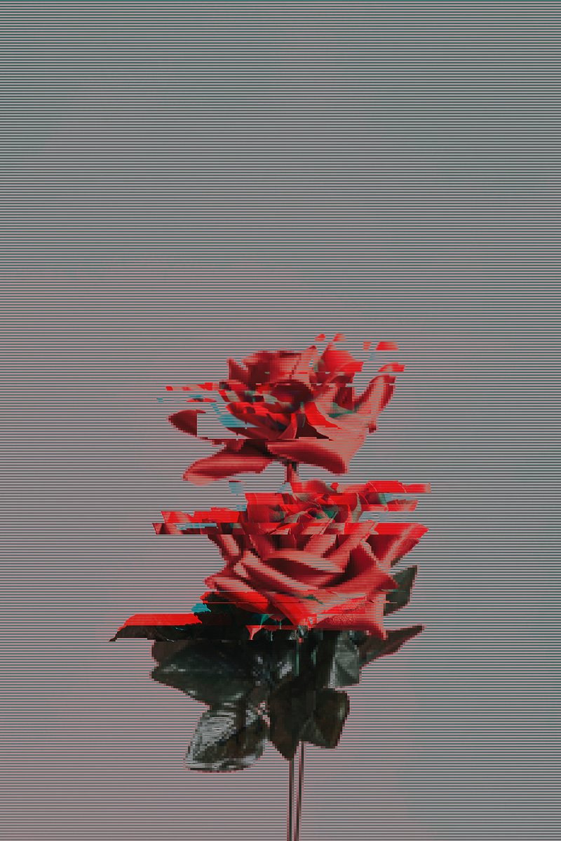 3D Glitch Rose editable text in 2023