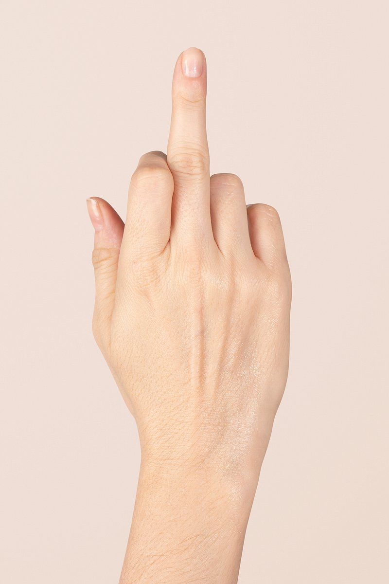 Файл STL Male Middle Finger Hand Pose Easy 3D Print ♂️・3D-печатная модель  для загрузки・Cults