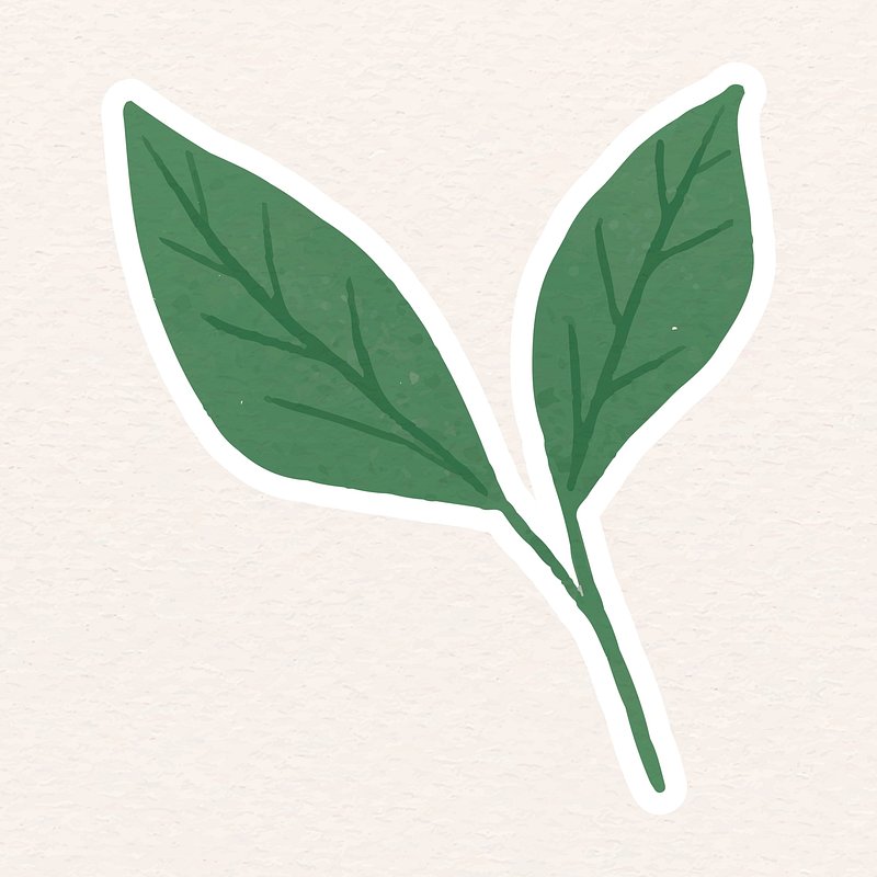 Green leaves sticker vector | Vector - rawpixel