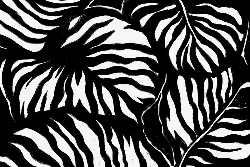 black and white abstract designs