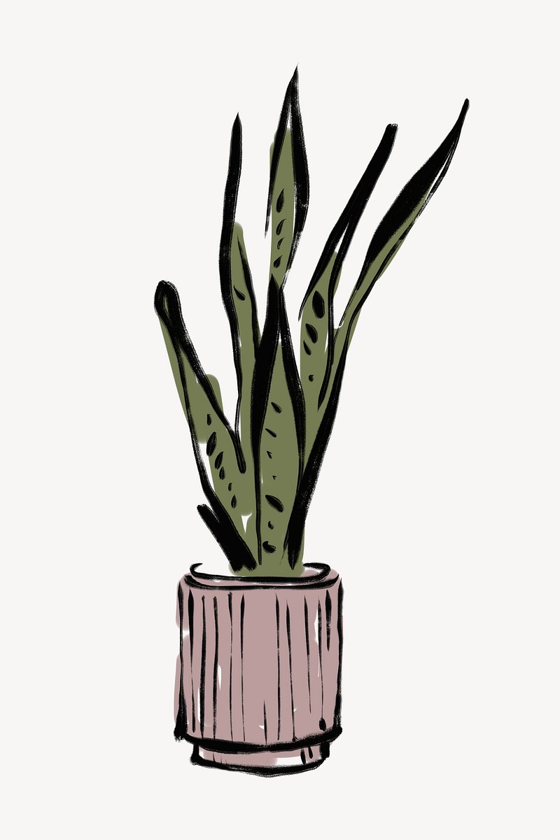 Snake Plant Linocut — Kaylene Alder Illustration