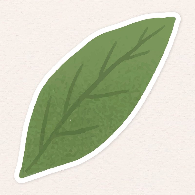 Green Leaves sticker transparent png, premium image by rawpixel.com / sasi