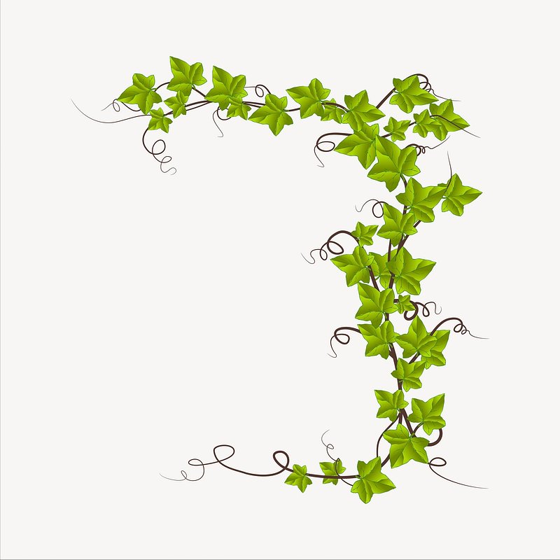 Green Vines green pattern plant.  Free Photo Illustration - rawpixel