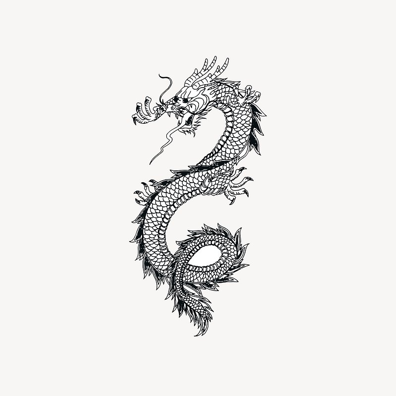 Dragon Images | Free Photos, PNG Stickers, Wallpapers & Backgrounds ...