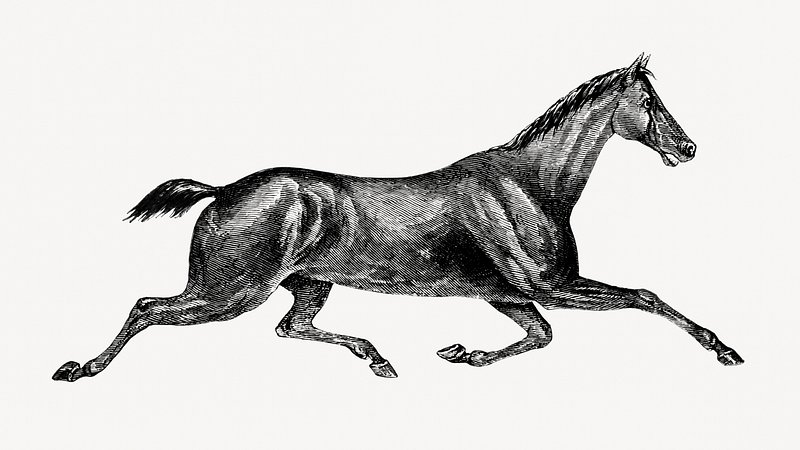 Running horse | Horse art drawing, Horse drawing, Horse drawings