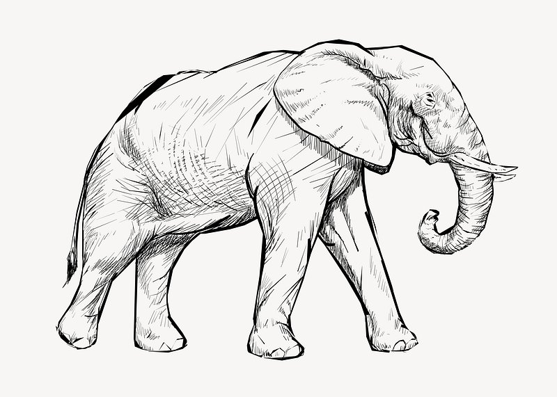 Elephat Drawing Images | Free Photos, PNG Stickers, Wallpapers ...